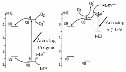 Sơ đồ 3 5 Minh hoạ cơ chế xúc tác quang hoá cuả ZnO và La ZnO 110 Với sự tăng 1