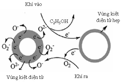 Sơ đồ 3 6 Minh họa quá trình cảm biến hơi ethanol Các quá trình hấp phụ 3 28 5