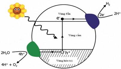 Hình 1 9 Sơ đồ minh hoạ xúc tác quang hoá Phản ứng oxy hoá do hiệu ứng quang 2