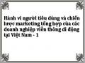 Hành vi người tiêu dùng và chiến lược marketing tổng hợp của các doanh nghiệp viễn thông di động tại Việt Nam - 1