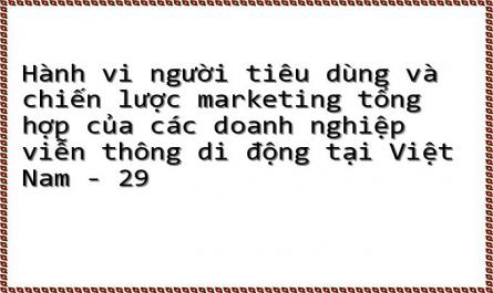 Hành vi người tiêu dùng và chiến lược marketing tổng hợp của các doanh nghiệp viễn thông di động tại Việt Nam - 29