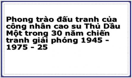 Nguyễn Thị Mộng Tuyền: 2003, Phong Trào Đấu Tranh Của Công Nhân Cao Su Thủ Dầu Một Trong Kháng