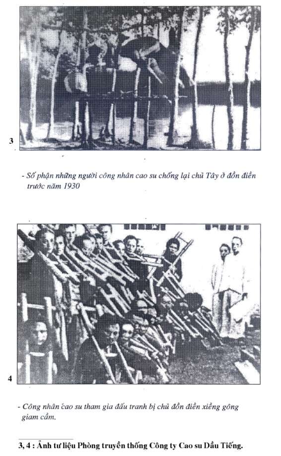 15 16 Ảnh tư liệu tại Phòng truyền thống Công ty cao su Dầu Tiếng 1