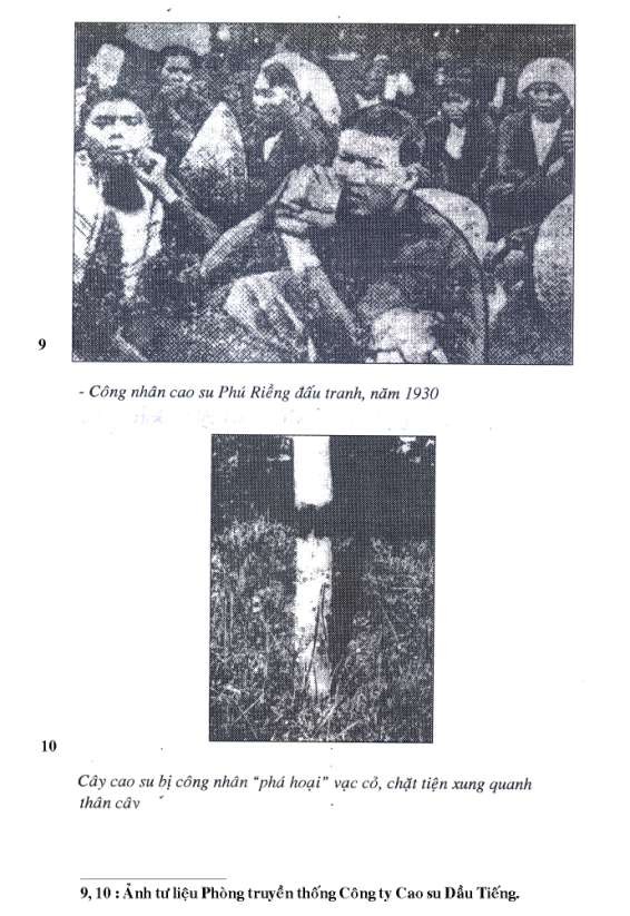 15 16 Ảnh tư liệu tại Phòng truyền thống Công ty cao su Dầu Tiếng 4