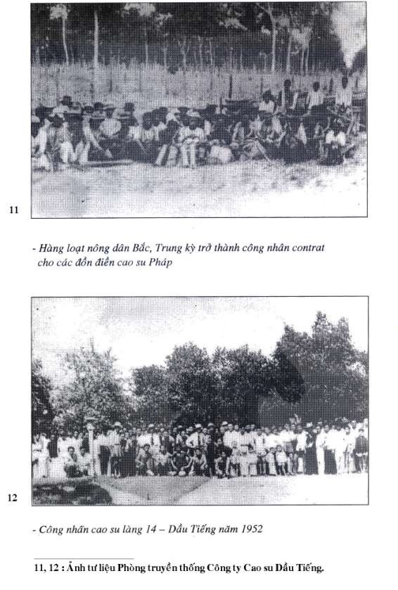 15 16 Ảnh tư liệu tại Phòng truyền thống Công ty cao su Dầu Tiếng 5