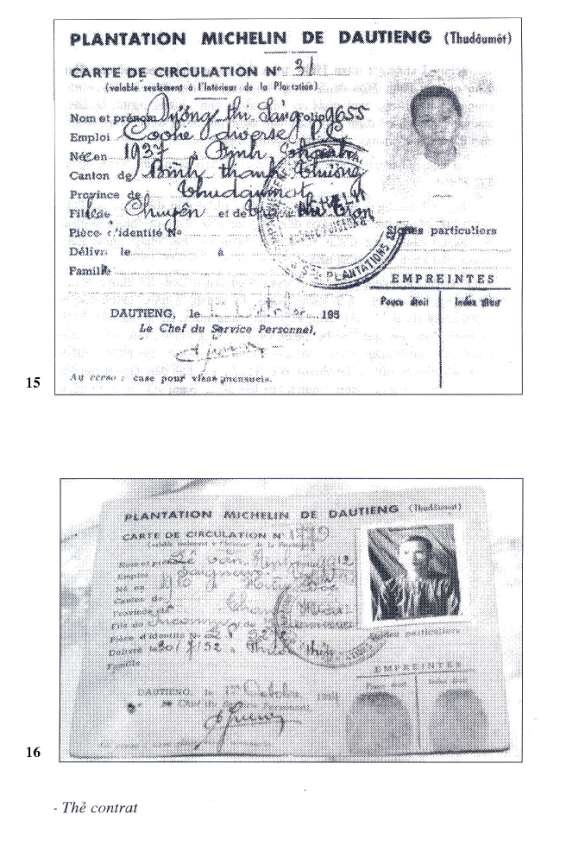 15 16 Ảnh tư liệu tại Phòng truyền thống Công ty cao su Dầu Tiếng 7