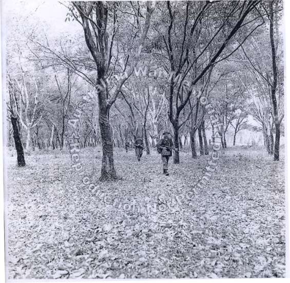 Quân viễn chinh lùng sục các đồn điền cao su Thủ Dầu Một Nguoàn http www 1