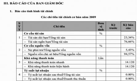 Hoàn thiện phân tích tình hình tài chính của các công ty chứng khoán Việt Nam - 30
