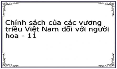 Chính sách của các vương triều Việt Nam đối với người hoa - 11