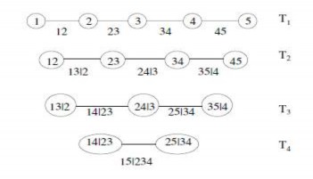 Hình 1 8 D vine Hình 1 9 C Vine Khi ước lượng các tham số của copula Vine thì chúng 1