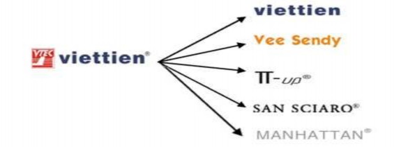 Thương Hiệu Mẹ Tên thương hiệu Việt Tiến Logo của thương hiệu Màu sắc xanh 6