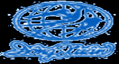 Nguồn Khảo sát và phân tích của tác giả luận án Hình 2 19 Một số logo nhiều 2