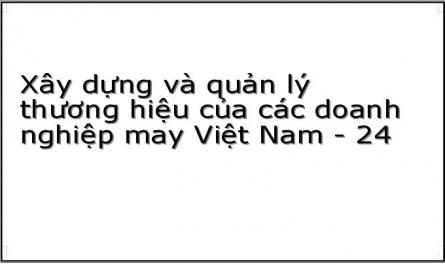 Xây dựng và quản lý thương hiệu của các doanh nghiệp may Việt Nam - 24