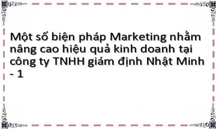 Một số biện pháp Marketing nhằm nâng cao hiệu quả kinh doanh tại công ty TNHH giám định Nhật Minh - 1