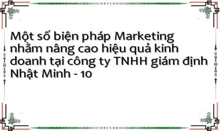 Một số biện pháp Marketing nhằm nâng cao hiệu quả kinh doanh tại công ty TNHH giám định Nhật Minh - 10