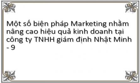 Một số biện pháp Marketing nhằm nâng cao hiệu quả kinh doanh tại công ty TNHH giám định Nhật Minh - 9