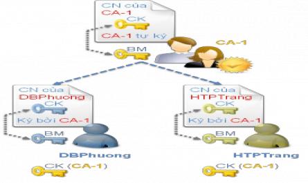 Đường Dẫn Chứng Nhận Trong Kiến Trúc Danh Sách Tín Nhiệm