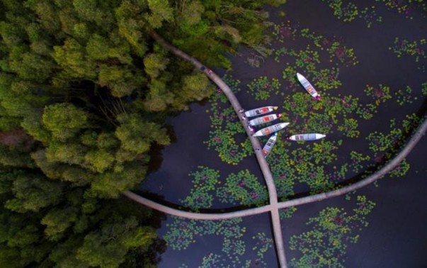 Quạt Gió Bạc Liêu 5 Nhà công tử Bạc Liêu 6 Chùa Phật Lớn 7 Làng Nổi Tân Lập 6