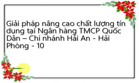 Giải pháp nâng cao chất lượng tín dụng tại Ngân hàng TMCP Quốc Dân – Chi nhánh Hải An - Hải Phòng - 10