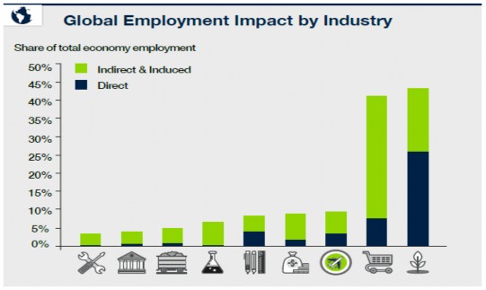 Hình 1 3 Sự ảnh hưởng của một số ngành nghề đến việc làm trên toàn thế 1