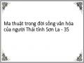 Ma thuật trong đời sống văn hóa của người Thái tỉnh Sơn La - 35