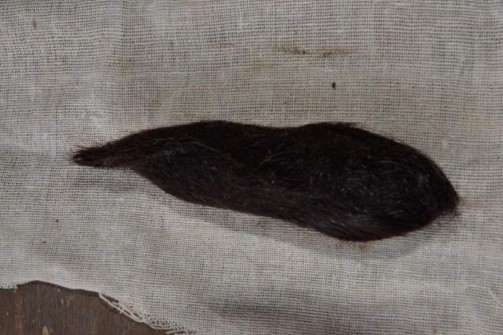 Ảnh Tóc ma rừng vật thiêng trong khụt xanh túi bùa của ông Một Lò Văn Phương 7