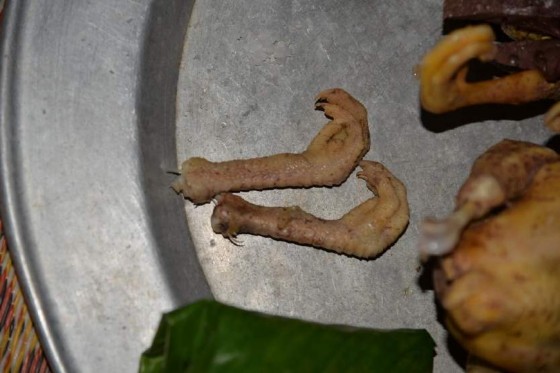 Ảnh Bói chân gà sau lễ cúng Nguồn Tác giả Mộc Châu 3 2018 16