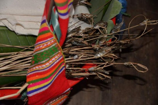 Ảnh Đồ lễ xâu cá nướng trong lễ xên kẻ giải hạn Nguồn Tác giả Thuận 6