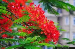 BT7 Các em có một buổi picnic vào cuối tuần này Nhưng các em không biết trời 8