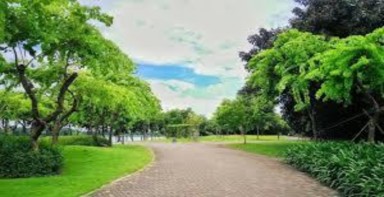 BT6 Hãy nói 2 câu về các sự vật trong bức tranh dưới đây trong đó có sử 3