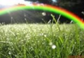 BT6 Viết đoạn văn 3 5 câu miêu tả cảnh vật trong bức tranh sau Đoạn văn có 6