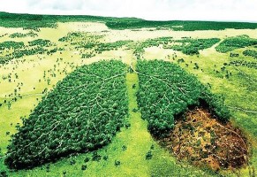 c … BT5 Viết tiếp vào mỗi câu dưới đây cho phù hợp M3 a Nó chẳng những 9