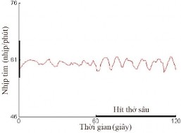 b Hình 1 11 Test biến thiên nhịp tim với nghiệm pháp hít thở sâu a Bình thường 5