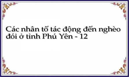 Các nhân tố tác động đến nghèo đói ở tỉnh Phú Yên - 12