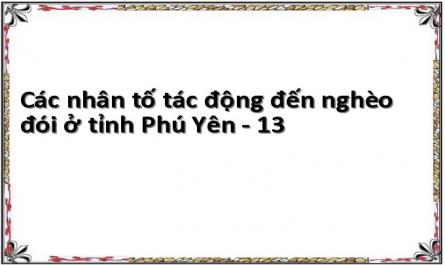 Các nhân tố tác động đến nghèo đói ở tỉnh Phú Yên - 13