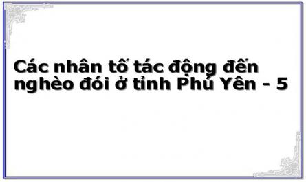 Các nhân tố tác động đến nghèo đói ở tỉnh Phú Yên - 5