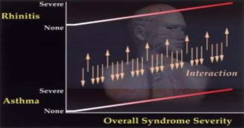 Hình 1 3 Mô hình biểu thị quan hệ giữa HPQ và VMDƯ Nguồn Togias et al 2003 47 1 2 2