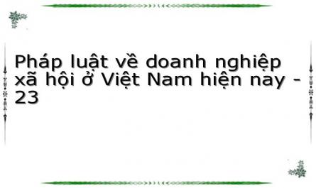 Pháp luật về doanh nghiệp xã hội ở Việt Nam hiện nay - 23