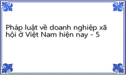 Pháp luật về doanh nghiệp xã hội ở Việt Nam hiện nay - 5