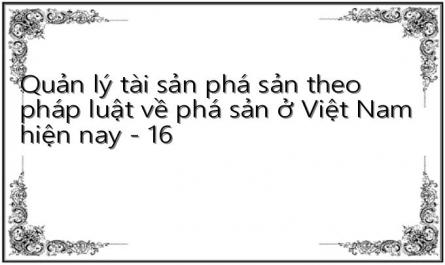 Quản lý tài sản phá sản theo pháp luật về phá sản ở Việt Nam hiện nay - 16