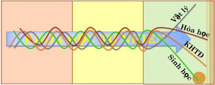 Sơ đồ 2 4 Mô tả các môn học quấn quanh trục là lõi các nguyên lý vận động 1