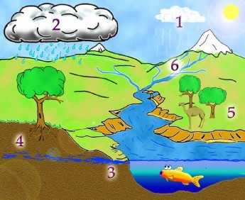 4 Nhiệt độ sôi của nước là Nhiệt độ đông đặc của nước là GV dựa vào 1