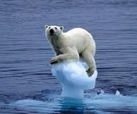 Hình ảnh bên cho các em biết điều gì Hãy sử dụng kiến thức đã học để 1