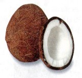 CHẤT BÉO Mỡ ăn được lấy ra từ động vật dầu ăn được lấy ra từ thực 3