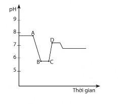 a Bón phân đạm vào đất b Bón vôi vào đất c Ngừng canh tác Chỉ ra giai đoạn 1