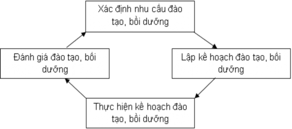 Hình 1 Sơ đồ quy trình đào tạo bồi dưỡng Như vậy trong quá trình đào tạo 1