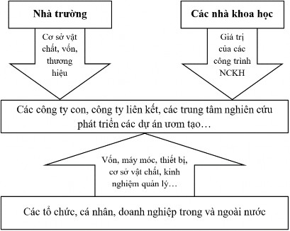 Hình 2 Mô hình thành lập Công ty TNHH MTV BK Holdings Nguồn http www bkholdings com vn vn 1