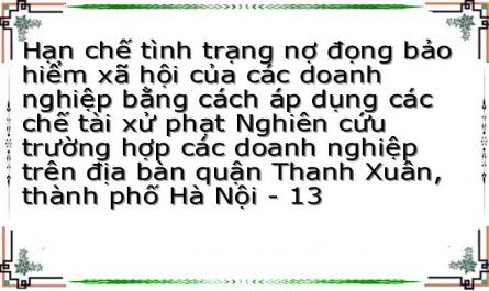 Hạn chế tình trạng nợ đọng bảo hiểm xã hội của các doanh nghiệp bằng cách áp dụng các chế tài xử phạt Nghiên cứu trường hợp các doanh nghiệp trên địa bàn quận Thanh Xuân, thành phố Hà Nội - 13