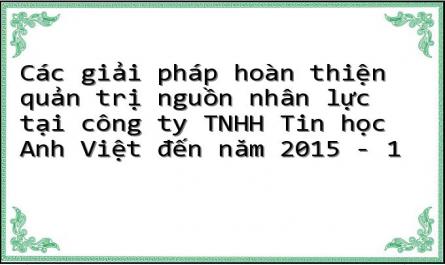 Các giải pháp hoàn thiện quản trị nguồn nhân lực tại công ty TNHH Tin học Anh Việt đến năm 2015 - 1