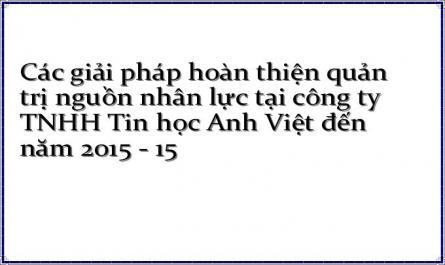 Các giải pháp hoàn thiện quản trị nguồn nhân lực tại công ty TNHH Tin học Anh Việt đến năm 2015 - 15